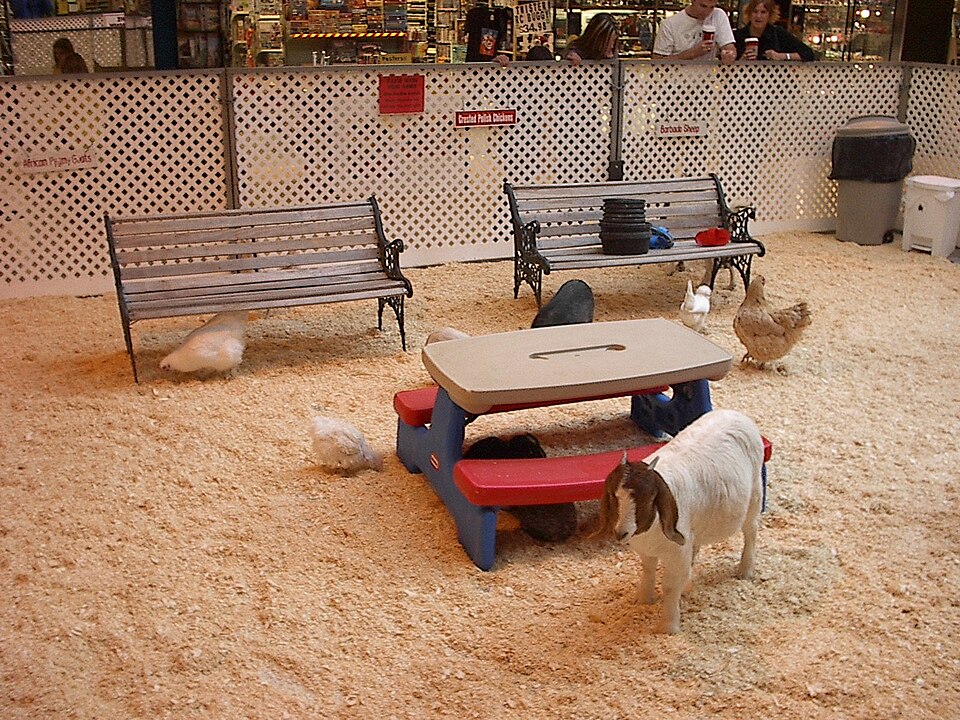 Kinderboerderij Koekendaal