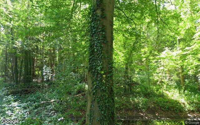Speeltuin blote voetenpad