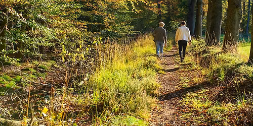WF Herfstwandeltochten — Natuur in de Achterhoek