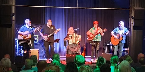 D’irish Folk live in Warnsvelsd — muziek in de Achterhoek