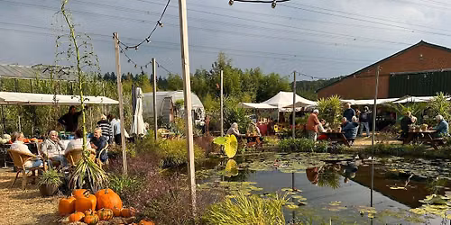 Herfstoogst & Pompoendagen bij Bandus in Hummelo — muziek in de Achterhoek